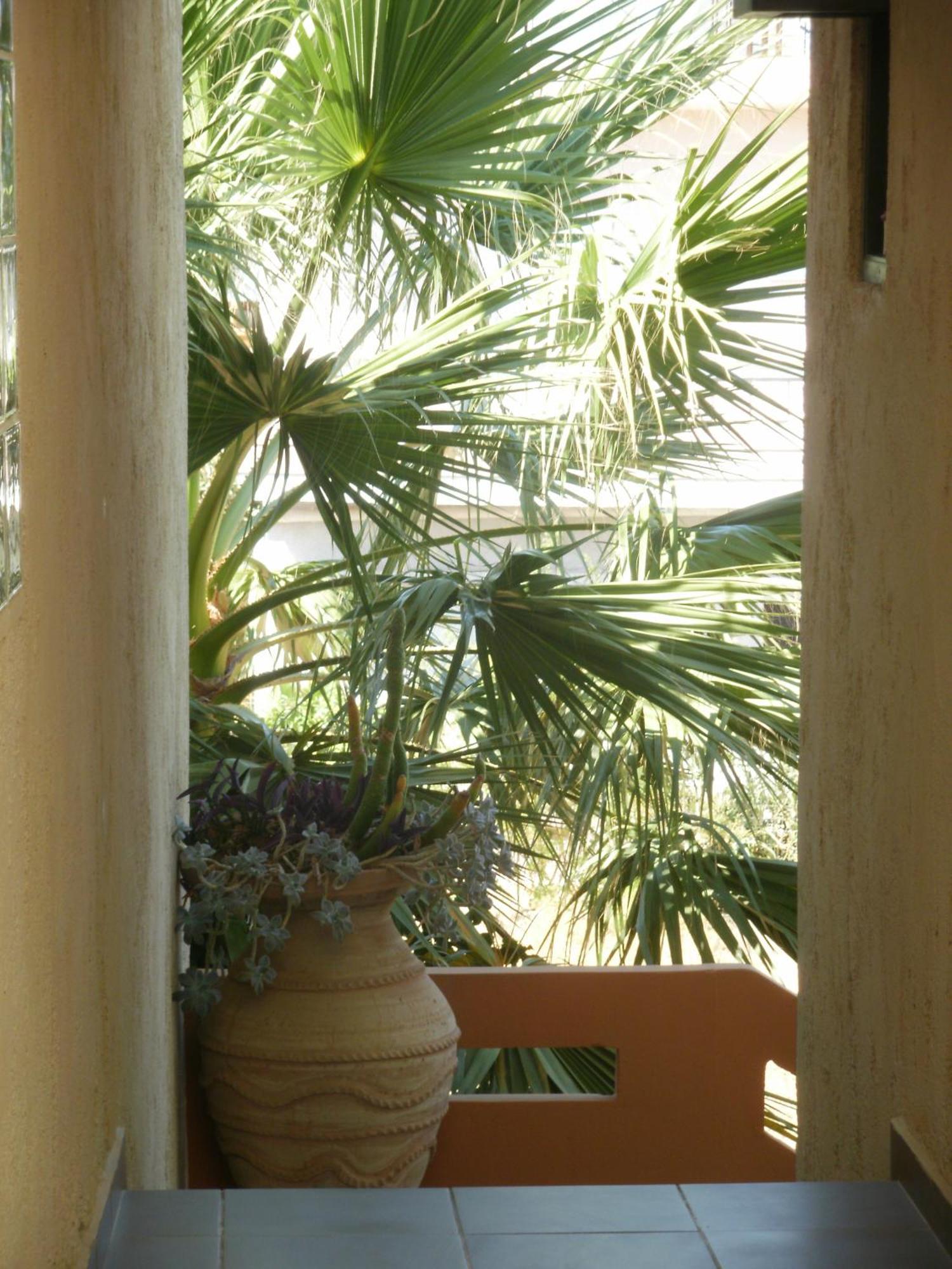 גרני צ'ניון Aris Apartments מראה חיצוני תמונה